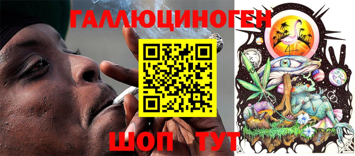Псилоцибиновые грибы Psilocybe Топки